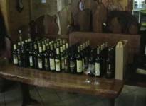 Ochutnávky a riadené degustácie  vín